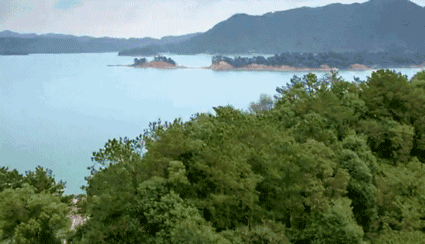 豪华游艇游万绿湖2.gif