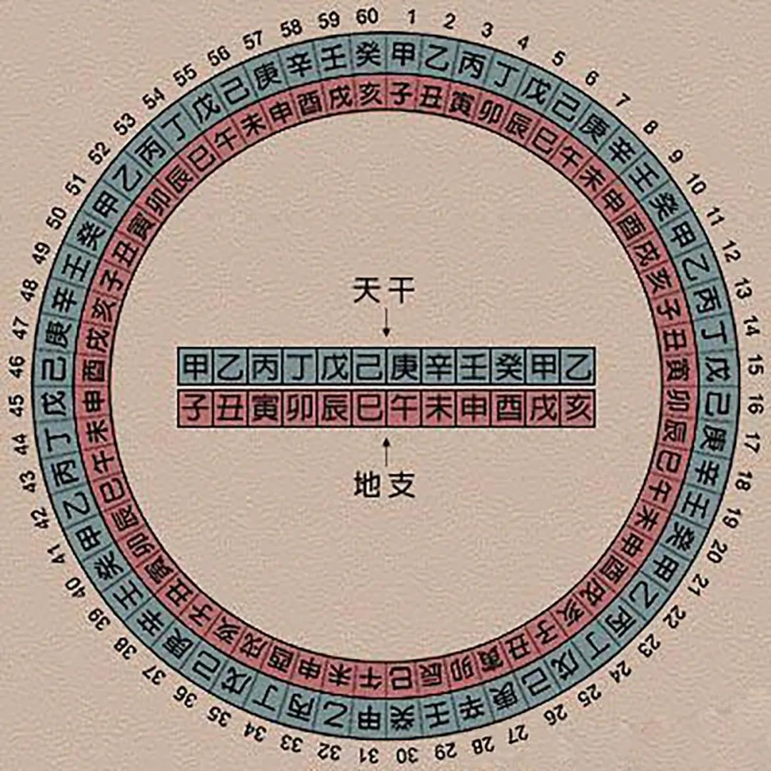 1650333546125433.jpg